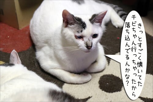 摜2