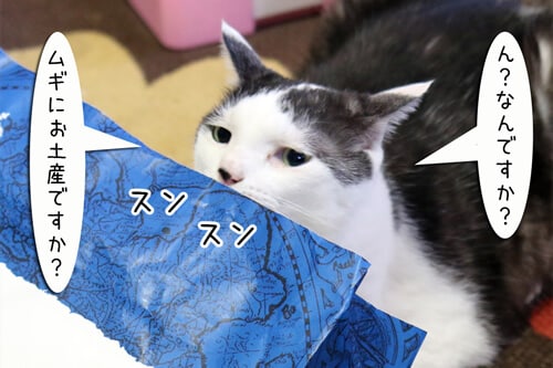 摜4