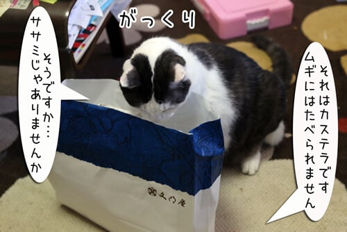 摜5