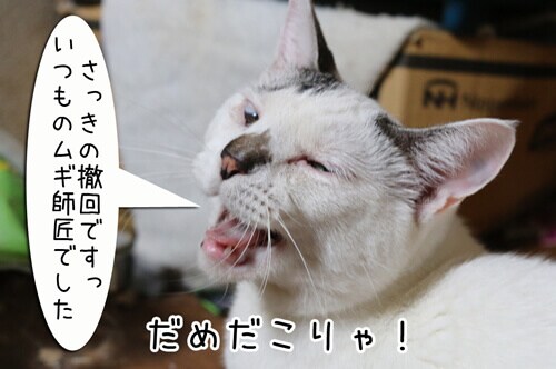 摜8