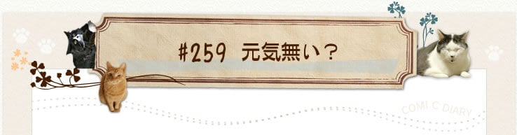 #259 CH