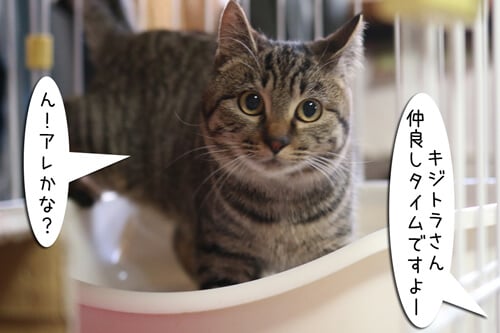 摜1