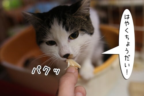 摜4
