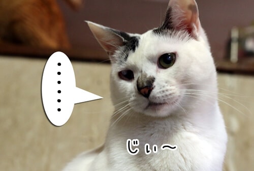摜6
