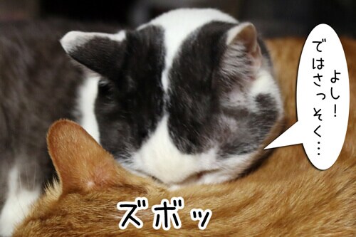 摜6