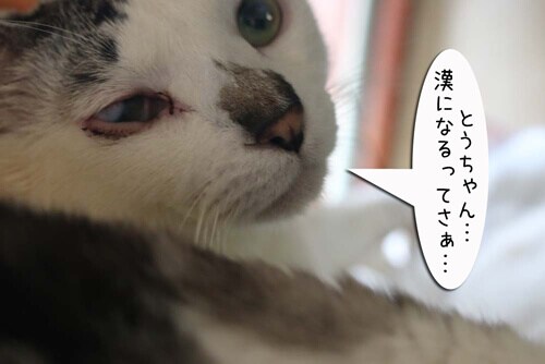 摜5