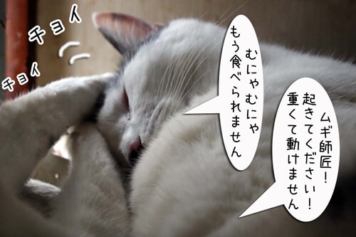 摜7