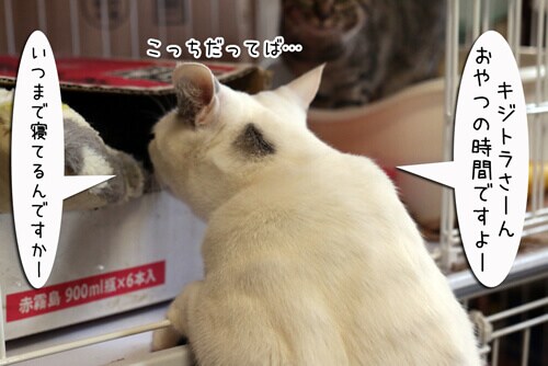 摜1