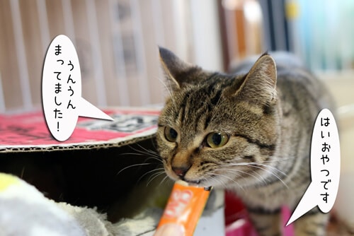摜2