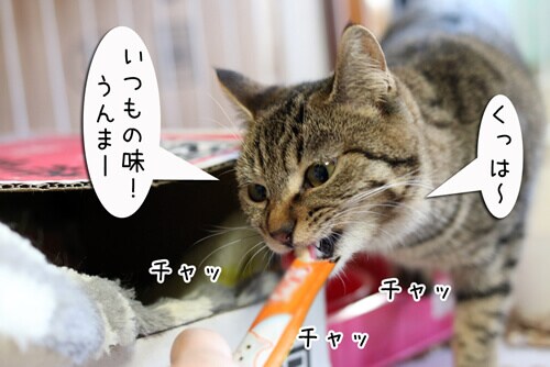 摜3