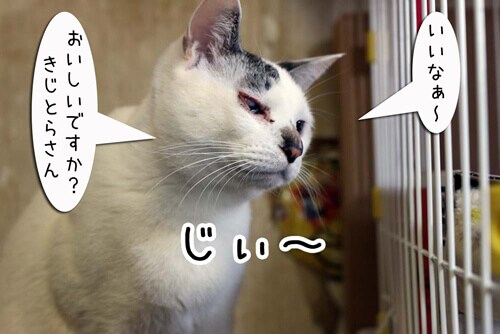 摜5