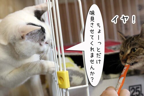摜6