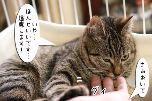 摜2