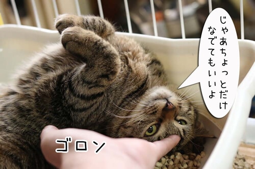 摜6