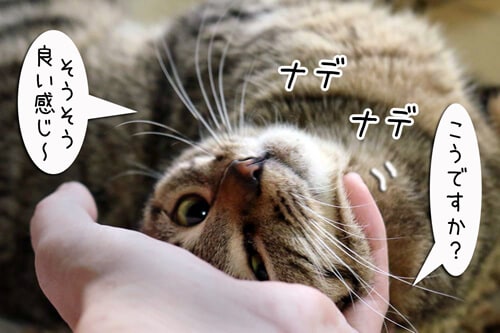 摜7