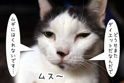 摜2