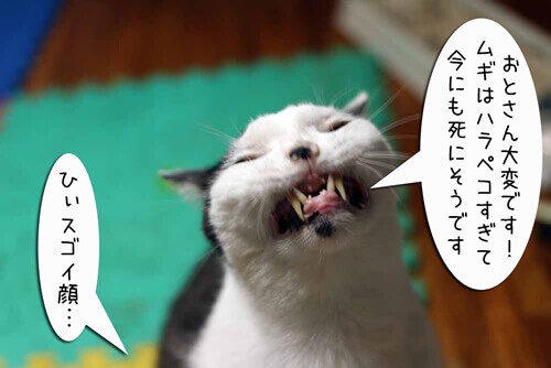 摜4