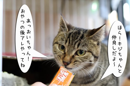 摜2