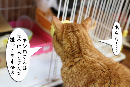 摜5