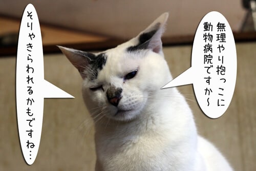 摜8