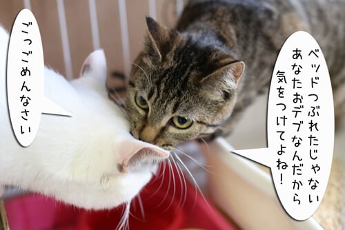 摜8
