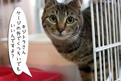 摜1