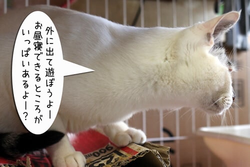 摜5