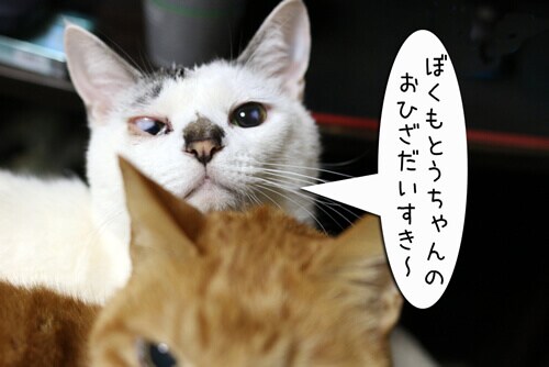 摜5