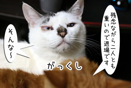 摜8