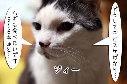 摜6