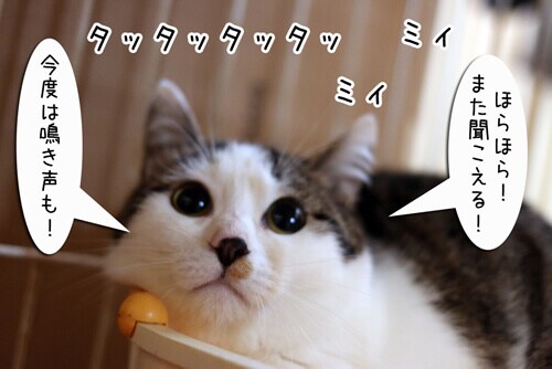 摜6