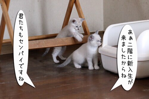 摜7