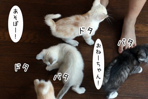 摜2