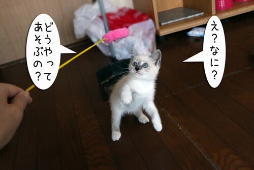 摜6