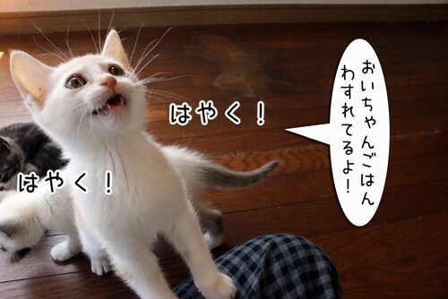 摜3