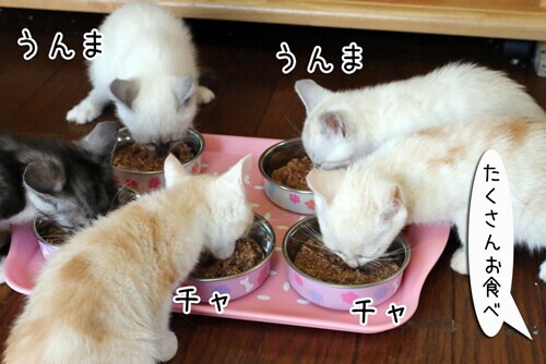 摜8