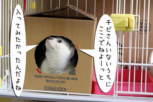 摜1