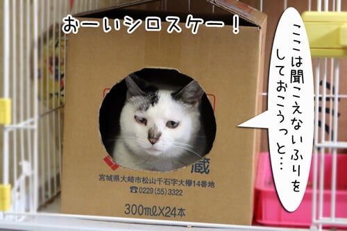 摜3