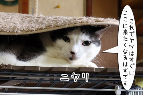 摜5