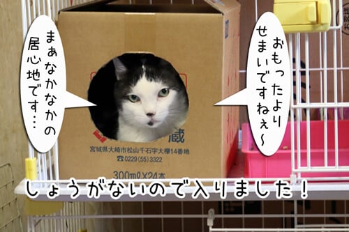 摜7
