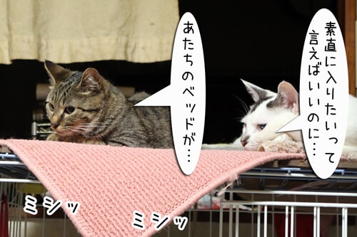 摜8
