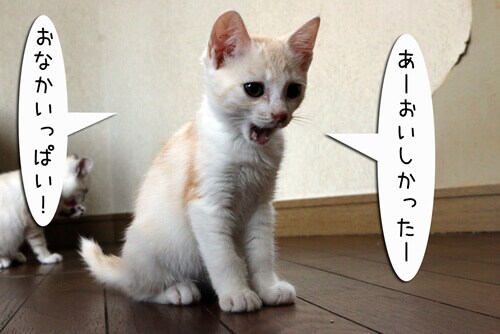 摜3