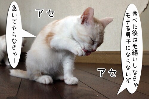 摜5