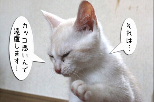 摜8