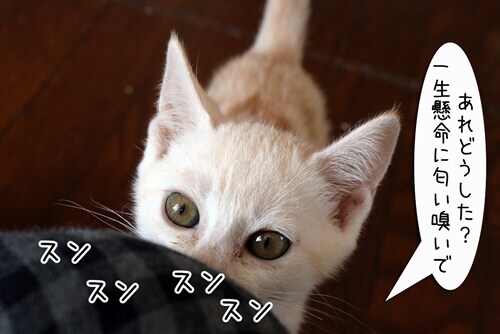 摜2