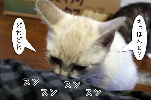 摜4