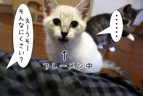 摜5