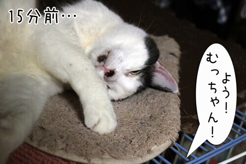摜6