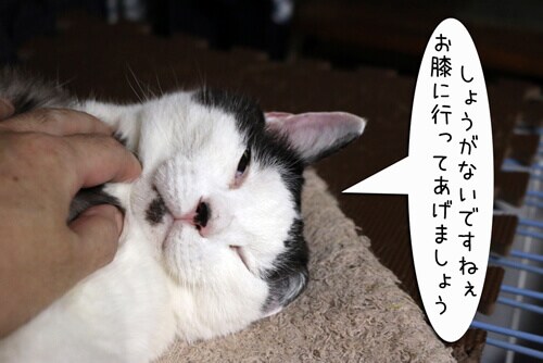 摜7