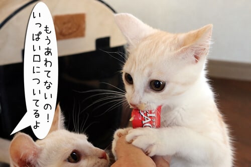 摜4